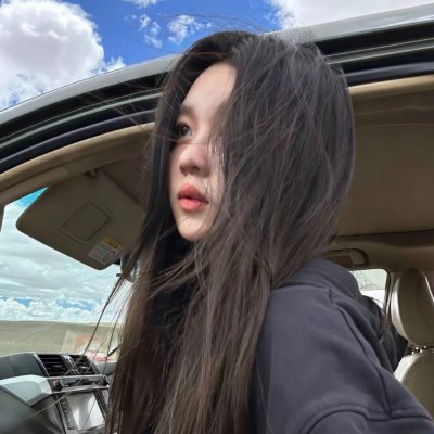 智叻狗仔队